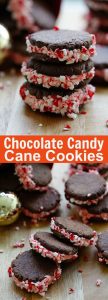 Chocolate Candy Cane Cookies | Easy Delicious Recipes