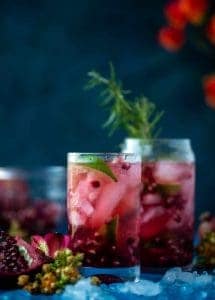 Pomegranate Gin and Tonic Recipe