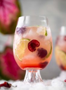 Cherry Gin and Tonic – Cherry Lime Gin and Tonic Recipe