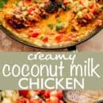 Coconut Milk Chicken Recipe | Quick & Easy Dinner Idea