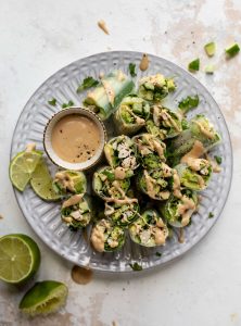 Avocado Summer Rolls with Coconut Peanut Dipping Sauce