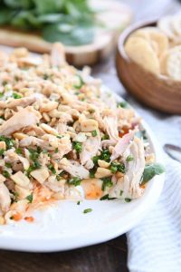 Sesame Thai Chicken Dip {Most Amazing Dip On the Whole Planet Earth}