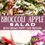 Easy & Healthy Broccoli Apple Salad Recipe