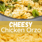Cheesy Chicken Orzo | Diethood