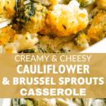 Veggie Casserole with Cauliflower & Brussels Sprouts