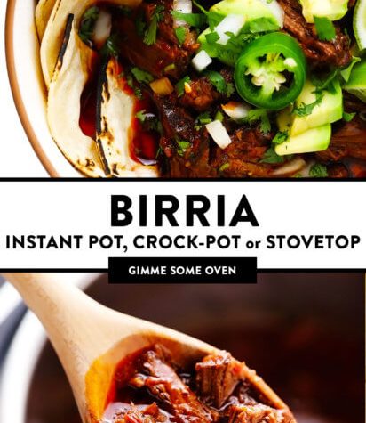 birria stew thedirtygyro