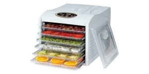 Best dehydrators and how to use them – top machines for 2021