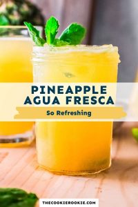 Pineapple Agua Fresca – The Cookie Rookie®