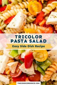 Tricolor Pasta Salad – The Cookie Rookie®
