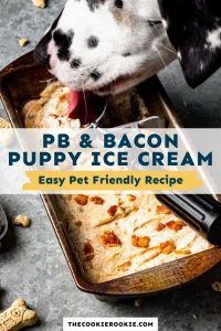 Homemade Dog Ice Cream (Peanut Butter Bacon)