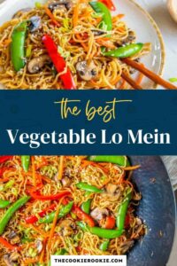 Vegetable Lo Mein – The Cookie Rookie®