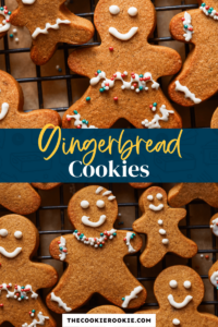 Gingerbread Cookies (Gingerbread Family) – The Cookie Rookie®