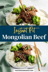 Instant Pot Mongolian Beef – The Cookie Rookie®