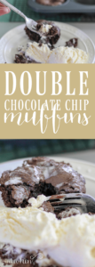 Double Chocolate Chip Muffins – Eat With Your Eyes